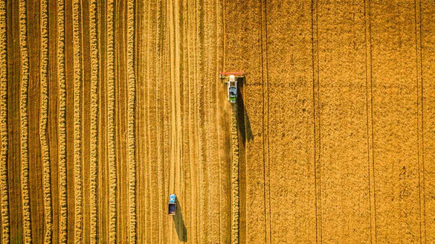 Bayer to Buy Monsanto, Creating a Massive Seeds and Pesticides Company -  Scientific American