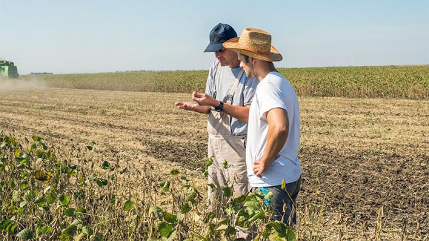 seeds that are not dicamba resistant leads to dead crops