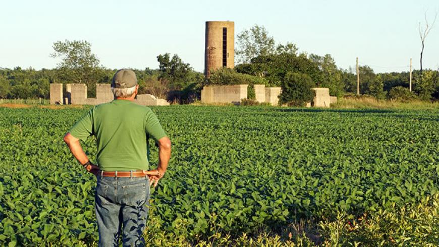 farmer using dicamba spray to protect plants from insects